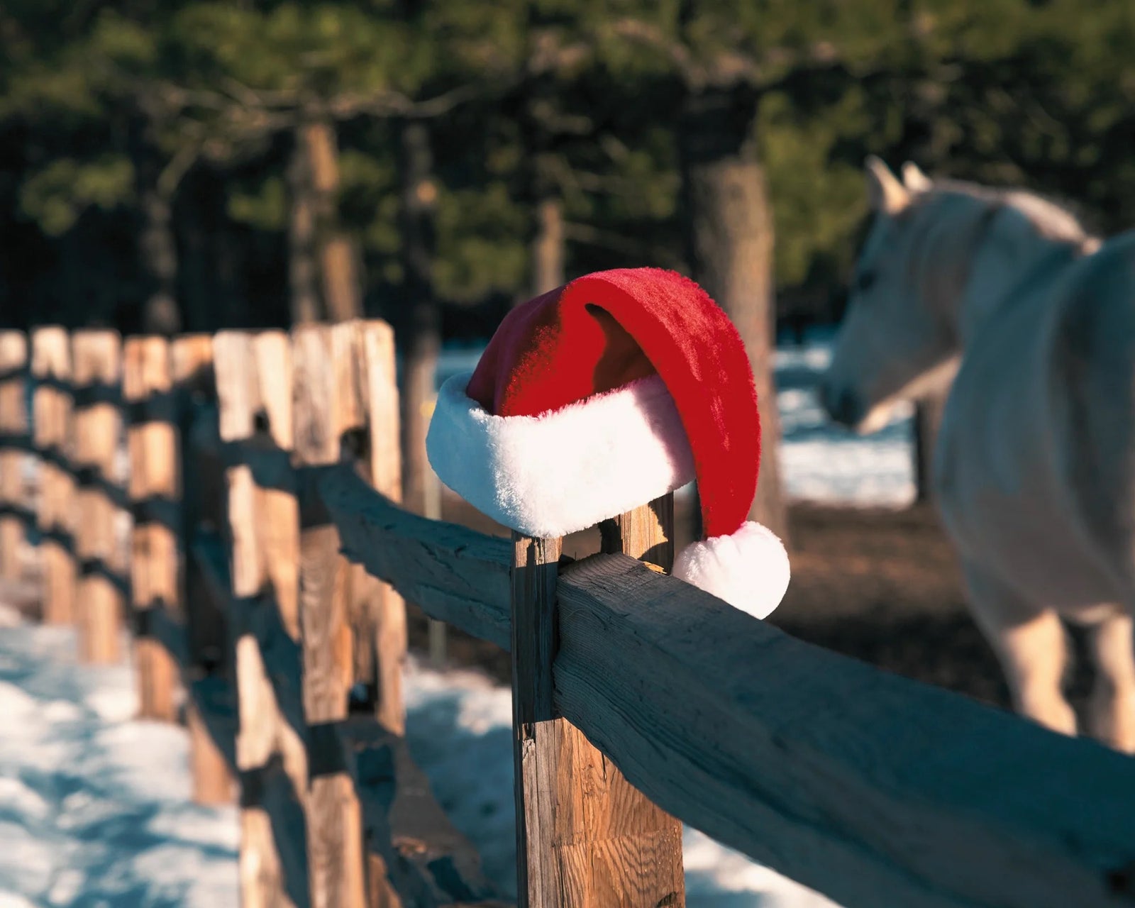 Christmas hat with horse in the background, A Horse Guard Christmas