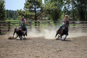 roping horse joints
