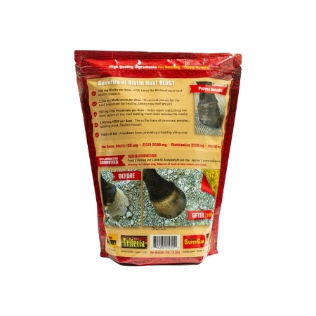 Biotin Hoof Blast Supplement Packed with 100mg of Biotin - Horse Guard ...