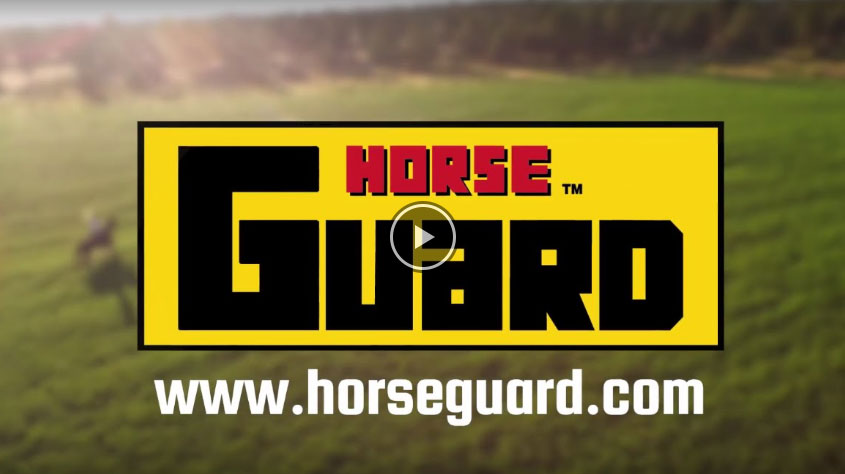 Horse Guard Supplement video thumbnail