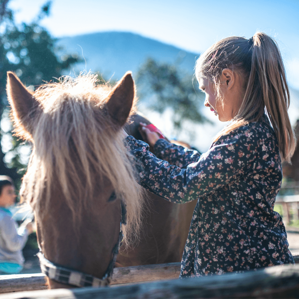 Girl brushing horse with shedding tool