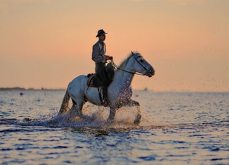 horse water ride