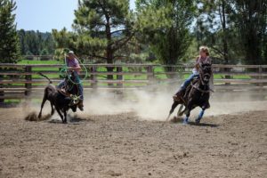 roping performance horse