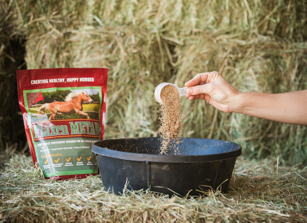 Metab - Equine Metabolic & Muscle Support Supplement - Horse Guard ...