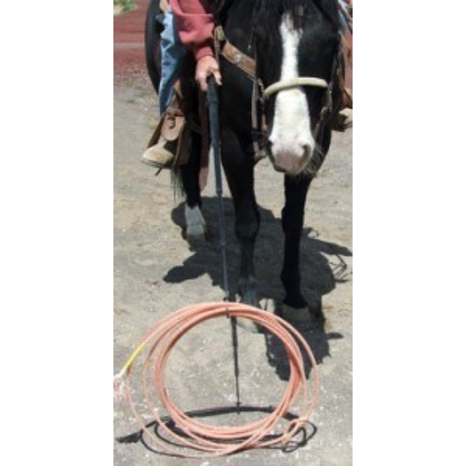 Lazy Cowboy, Picks Up Your Rope For You - Horse Guard