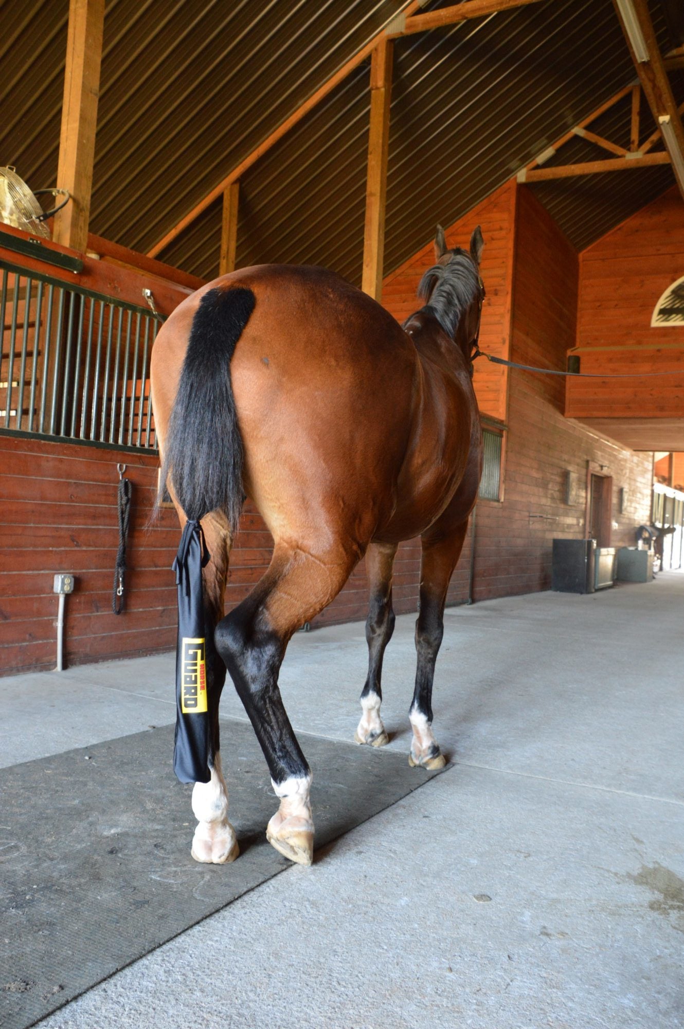 The Good (and the Bad) about Tail Bags for Horses