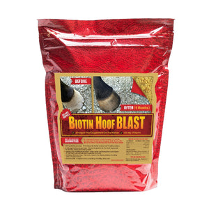 Biotin Hoof Blast 10lb Front Supplement by Horse Guard